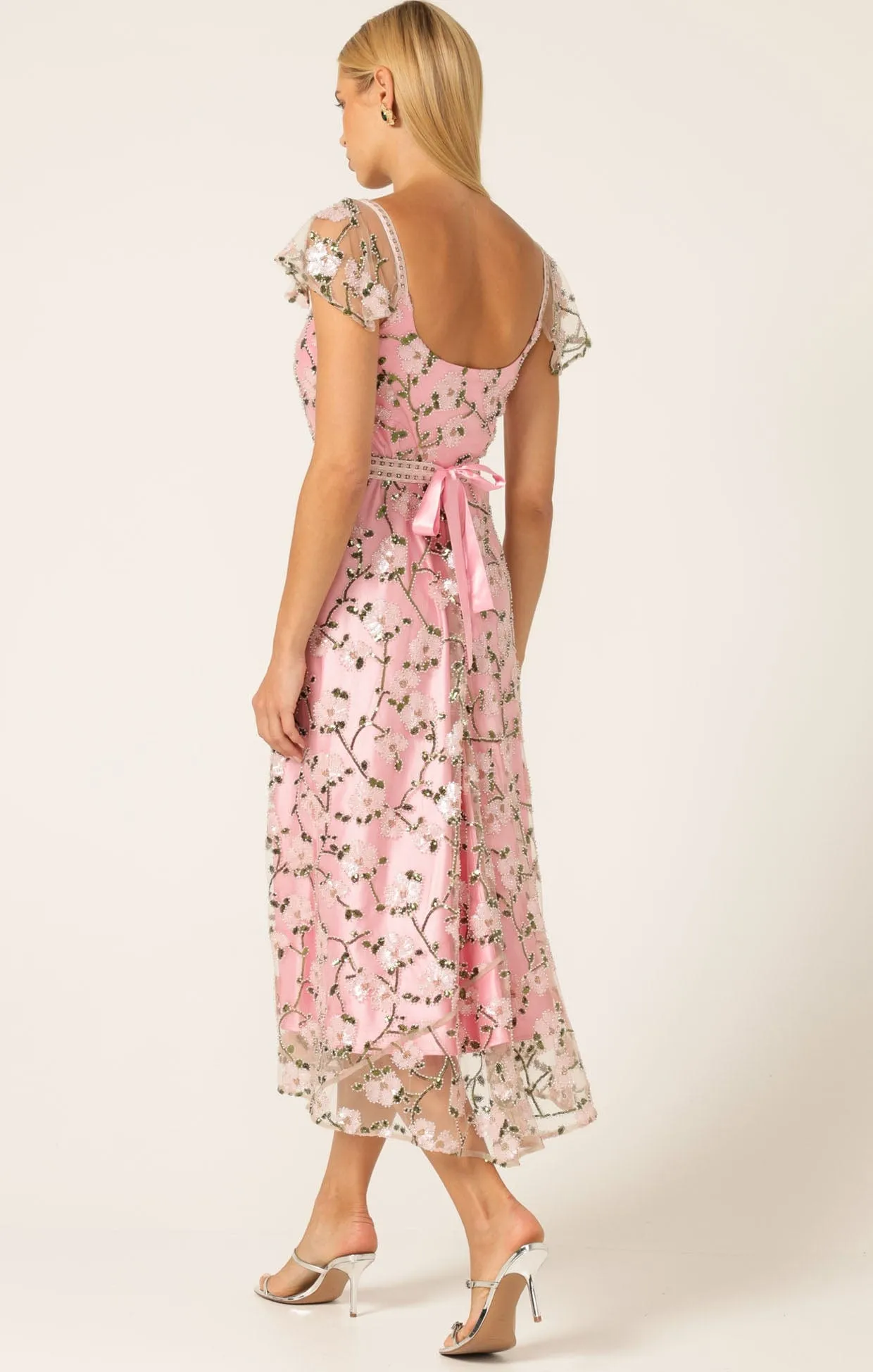 ANNA'S HUMMINGBIRD DRESS