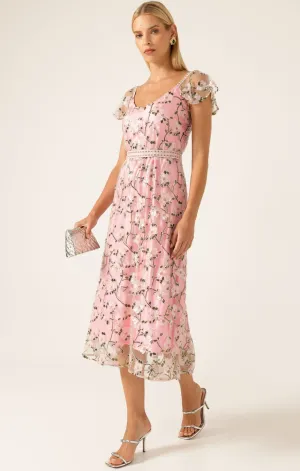 ANNA'S HUMMINGBIRD DRESS