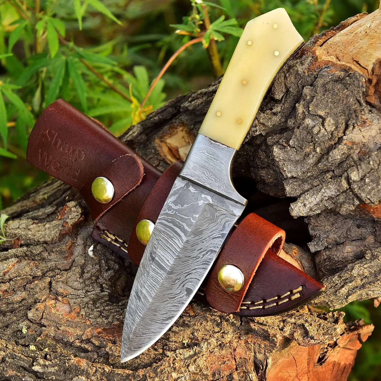 Beautiful Damascus Knife Made Of Remarkable Damascus Steel Multi Handles -Best Hunting Knife With Sheath TJ103 (Camel Bone)