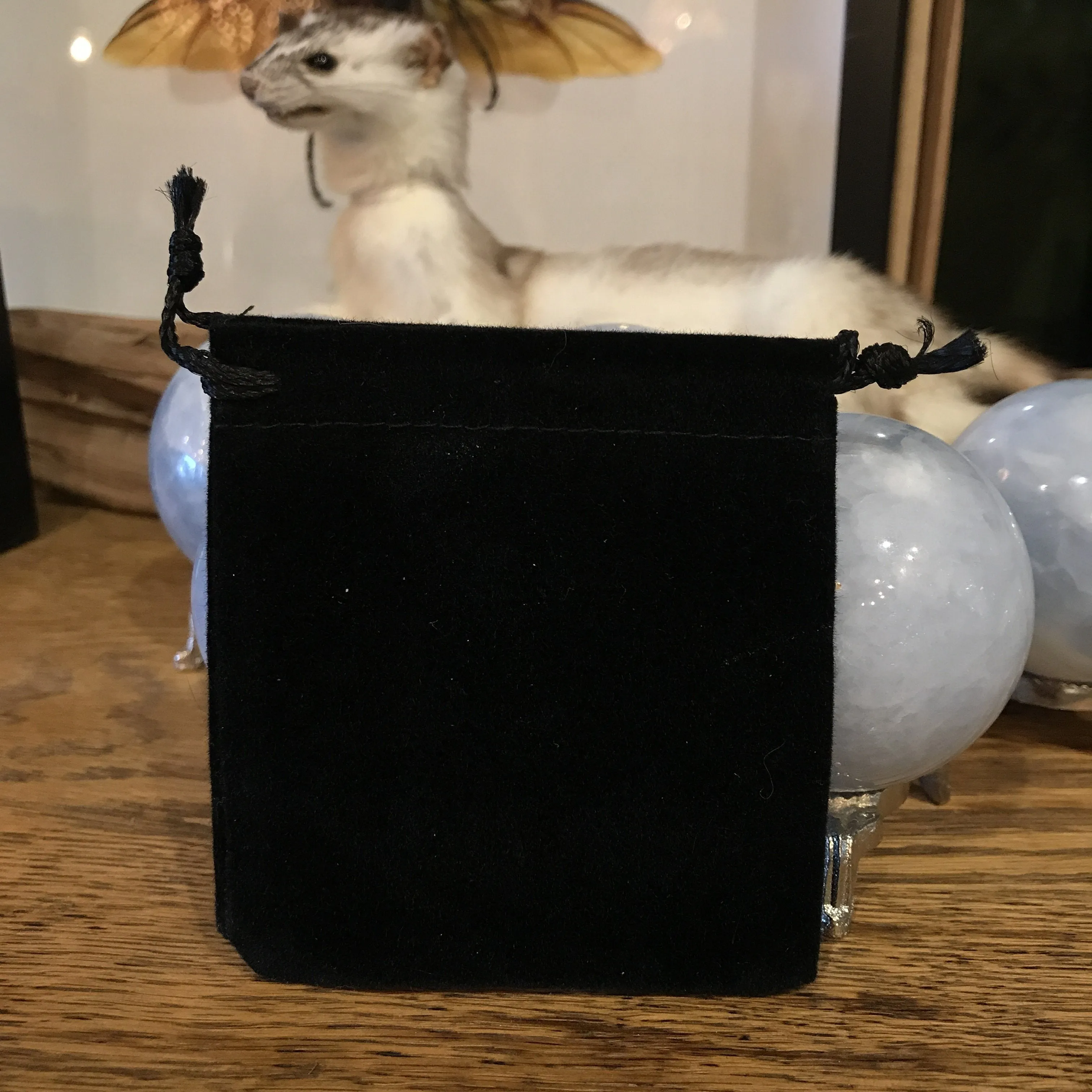 Black Velvet Pouch