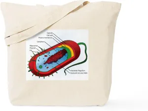 CafePress Bacteria Diagram Tote Bag Reusable Natural Beige Canvas Shopping Bag