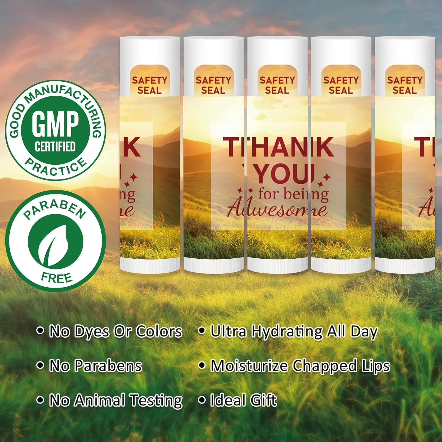DMSKY Appreciation Gifts 60 Pcs Lip Balm Bulk, Staff Appreciation Gifts Bulk Thank You Gifts Bulk for Coworkers Teacher Worker Employee Leaving Farewell Gifts