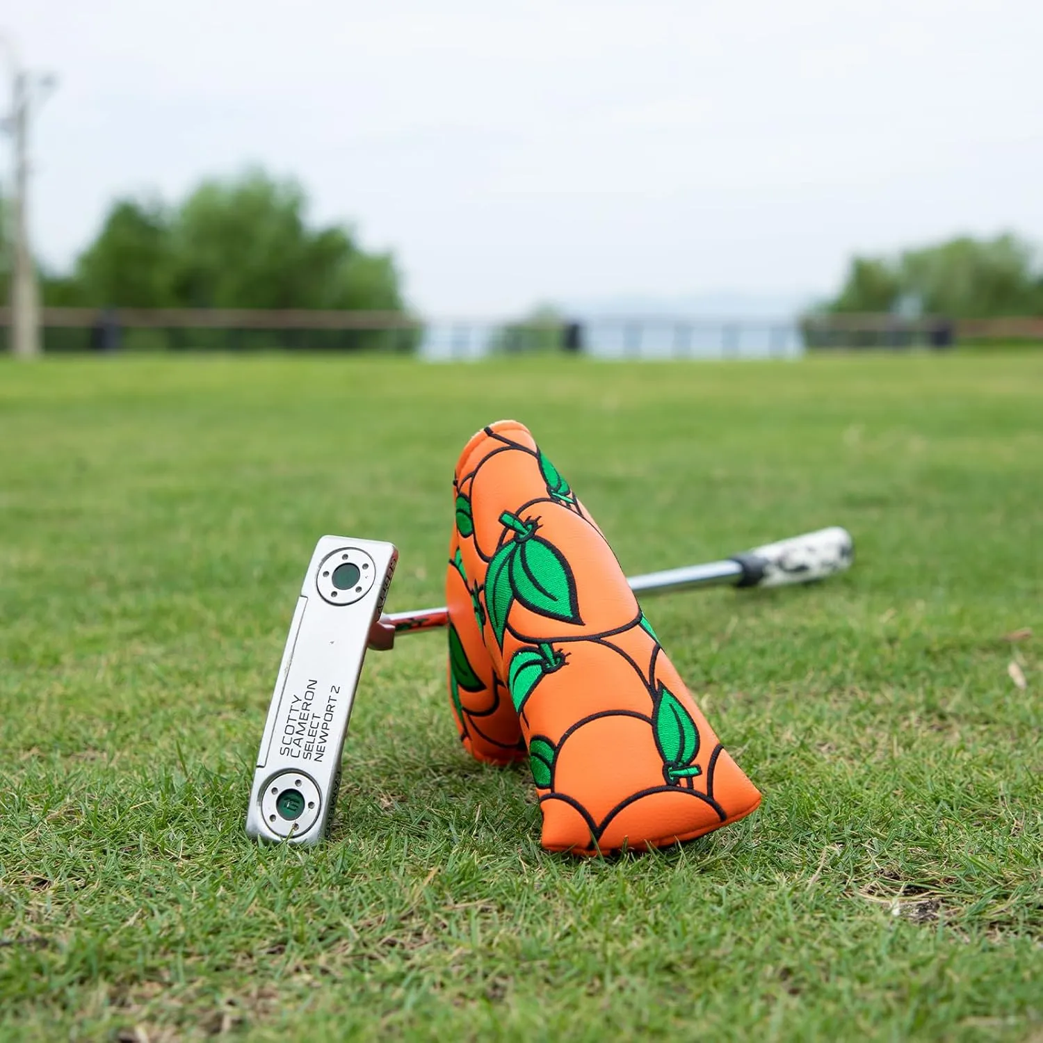 Montela Golf Club Covers Orange Golf Head Cover Driver Covers Fairway Wood Headcover Hybrid Cover Leather Golf Headcover for Scotty Cameron Taylormade Titleist Odyssey