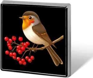 Robin Sitting on Mistletoe Tree Branch Square Badge Cute Heart Brooch Pins Button Badges for Backpack Jackets Hats Decor