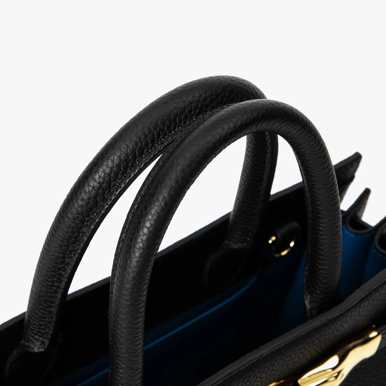 Sac De Jour Structured Bag