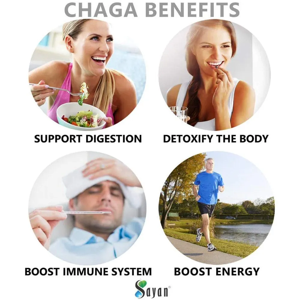 Sayan Siberian Chaga Mushroom Extract   Reishi, 90 Vegan Capsules Supplement & Chaga Tea, 20 Bags