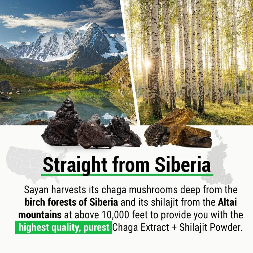 Sayan Siberian Chaga Mushroom Extract   Shilajit Powder 2 Oz & Chaga Tea, 1 Pack 20 Bags
