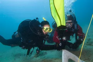 Search and Recovery