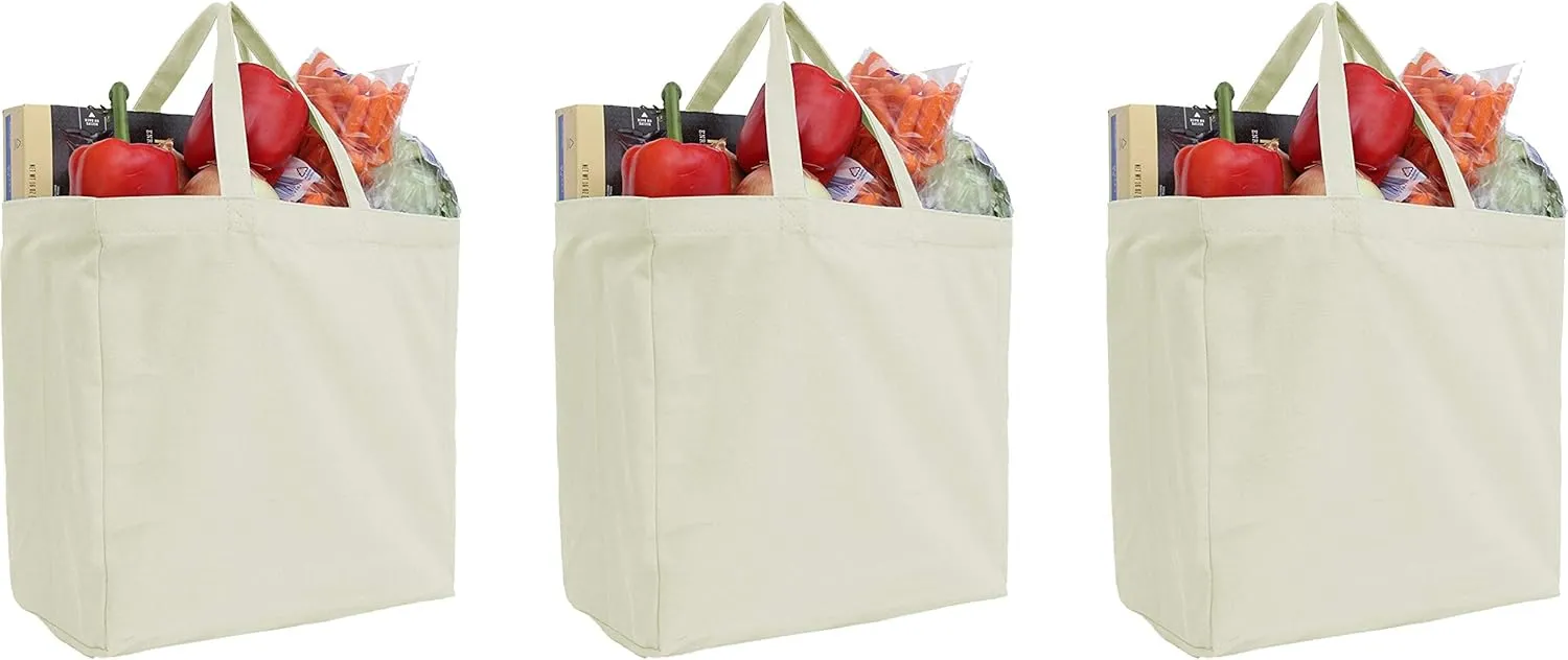 Threadart Reusable Heavy Duty 100% Cotton Canvas Grocery Bags Pack of 3 | With Strong Handles Holds up to 50lbs | Eco Friendly | Large Size 14x14x7.5 - Natural