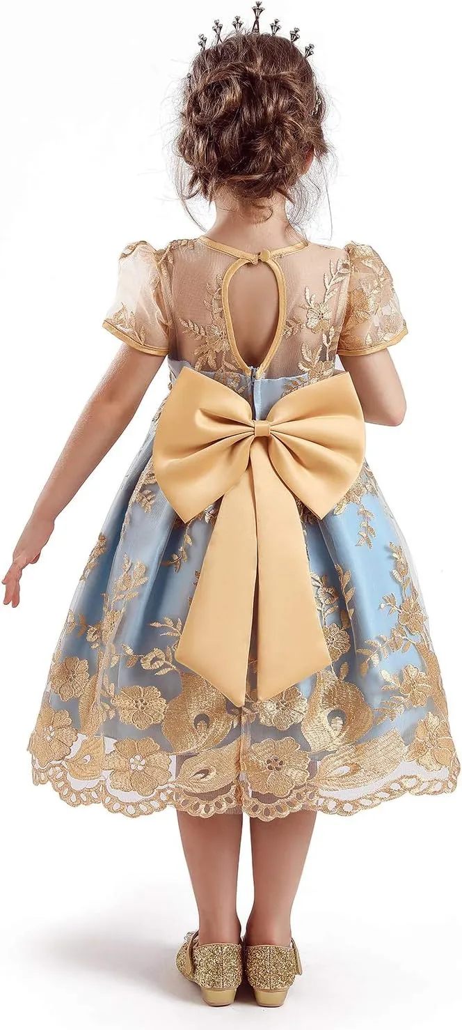 TTYAOVO Flower Girl Dress Princess Birthday Party Wedding Gown