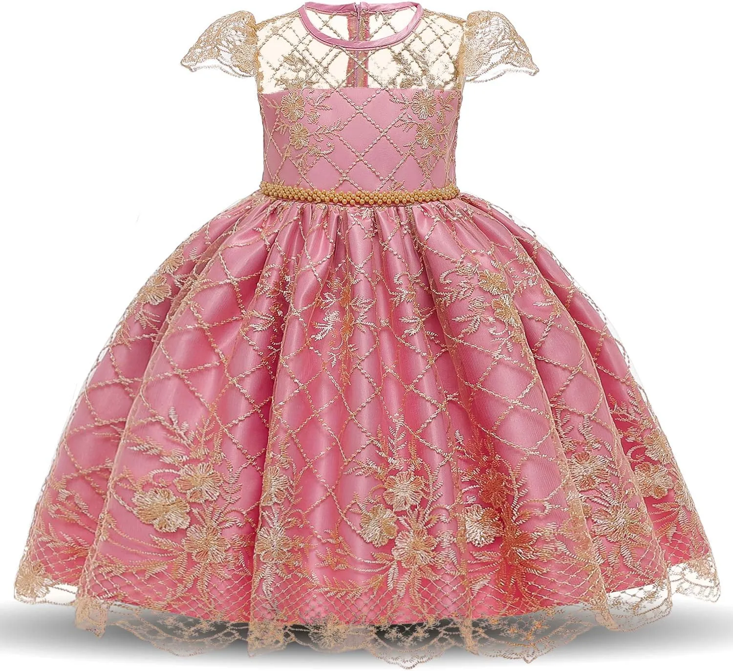TTYAOVO Flower Girl Dress Princess Birthday Party Wedding Gown