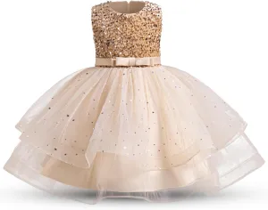 TTYAOVO Flower Girl Dress Princess Birthday Party Wedding Gown
