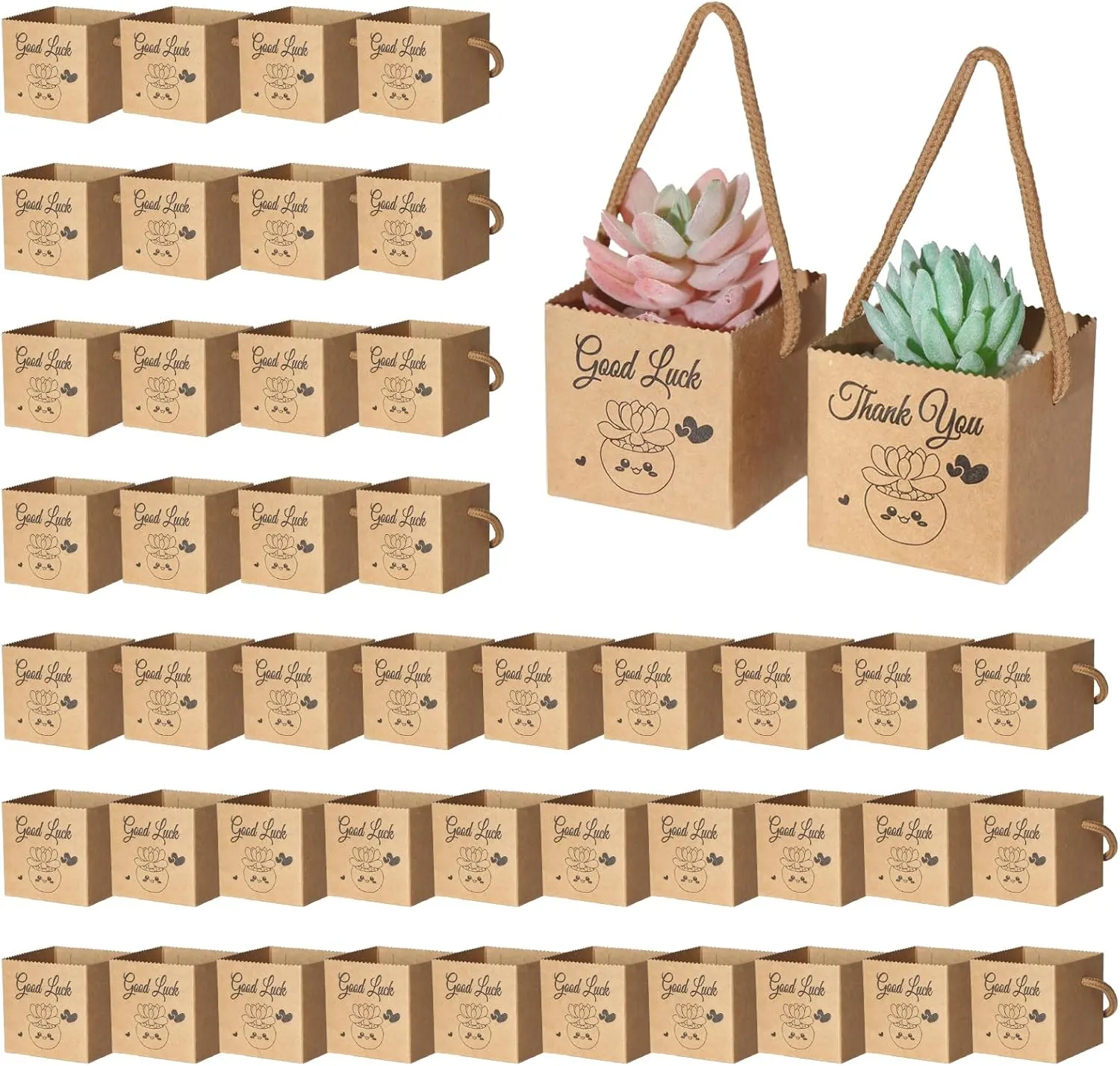 YALIOURS 50 PCS Succulent Wrap Bags for 2-2.5 Inch Pots, Succulent Gift Box for Wedding Favors, Baby Shower, Thank You Good Luck Gifts Box for Small Succulent Pots (Plants Not Included)